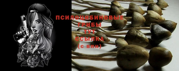 бошки Белокуриха