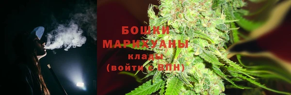 бошки Белокуриха