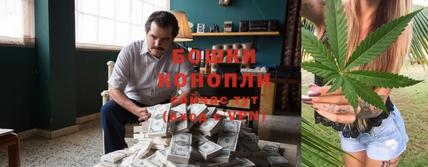 бошки Белокуриха