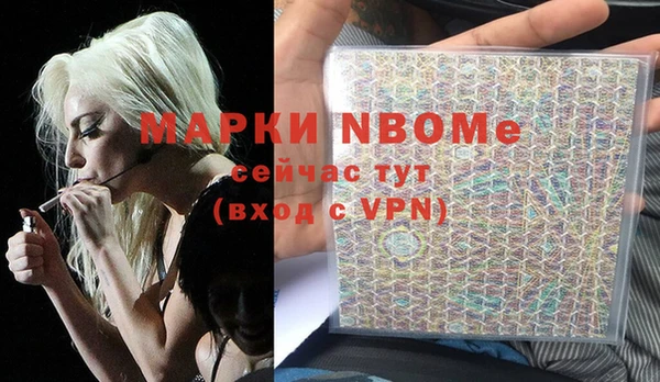бошки Белокуриха
